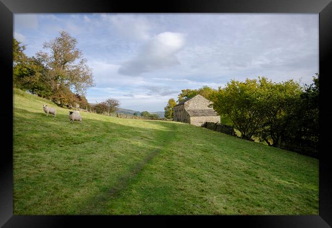 Discover the Serenity of Swaledale Framed Print by Steve Smith