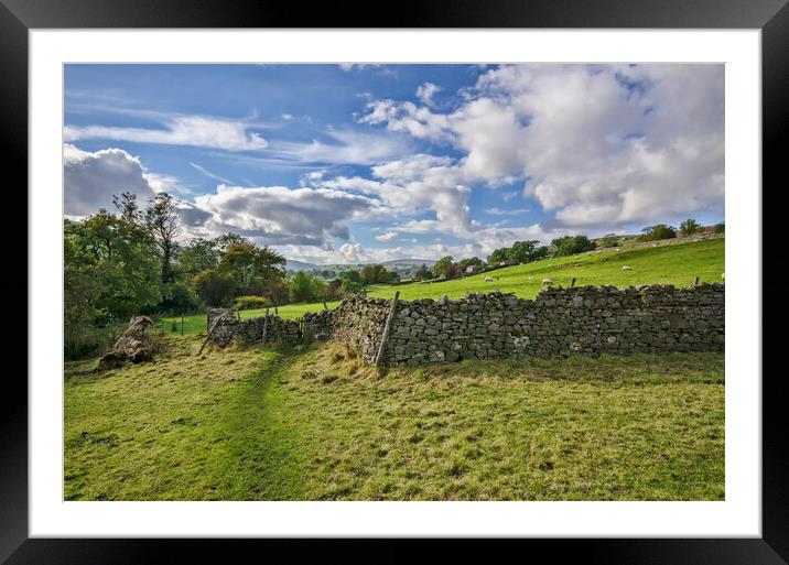 Reeth Walks Framed Mounted Print by Steve Smith