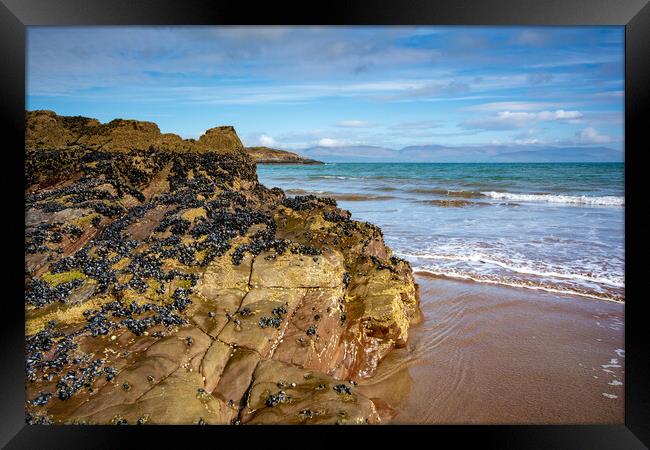 Cappamore Beach Framed Print by Steve Smith