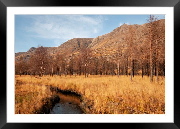 Glen Torridon Framed Mounted Print by Steve Smith