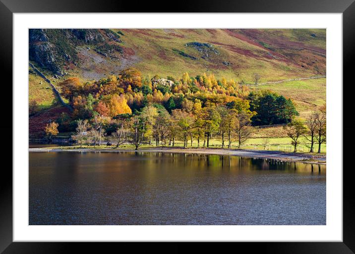 Autumn In Buttermere Framed Mounted Print by Steve Smith