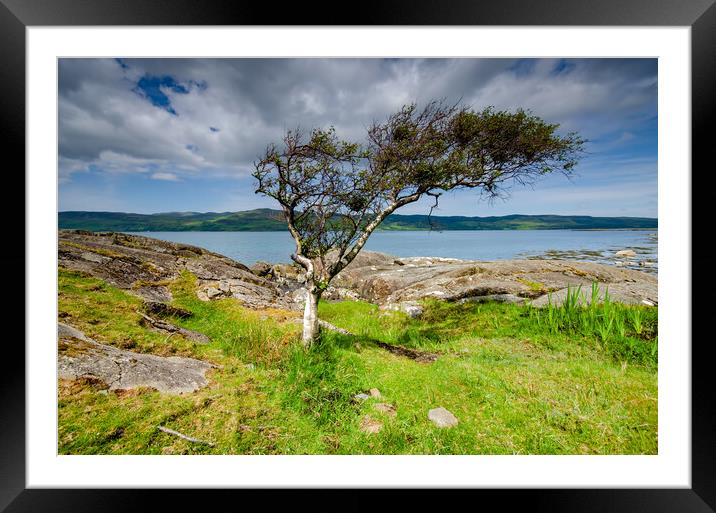Isle of Mull Framed Mounted Print by Steve Smith