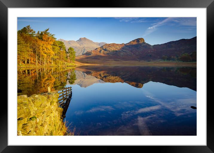 Serene Beauty Framed Mounted Print by Steve Smith