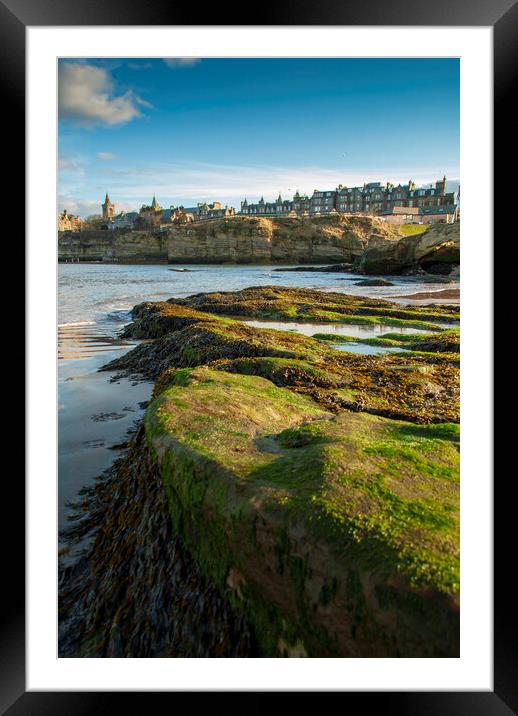 St Andrews Framed Mounted Print by Steve Smith