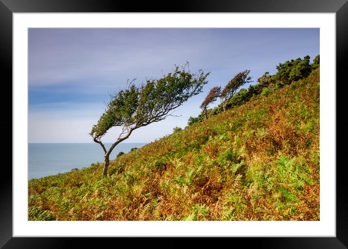 Valley Of The Rocks Framed Mounted Print by Steve Smith