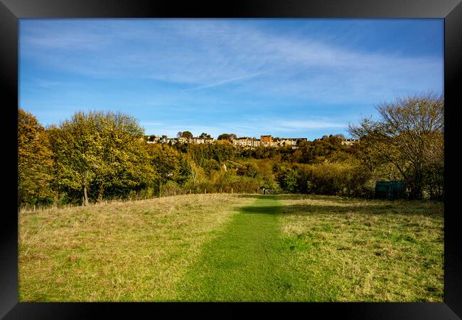 Richmond Walks Framed Print by Steve Smith