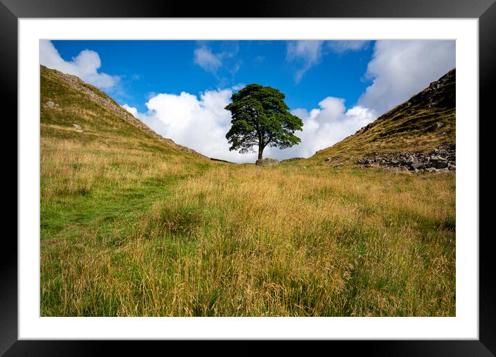 Sycamore Gap Framed Mounted Print by Steve Smith