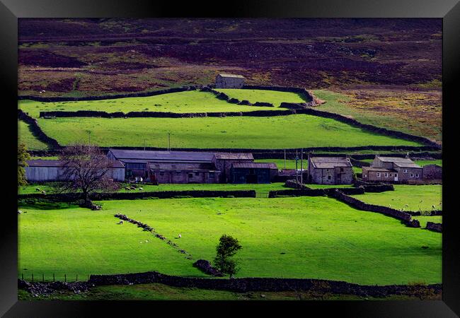 Wensleydale Framed Print by Steve Smith