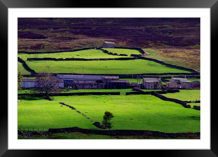 Wensleydale Framed Mounted Print by Steve Smith