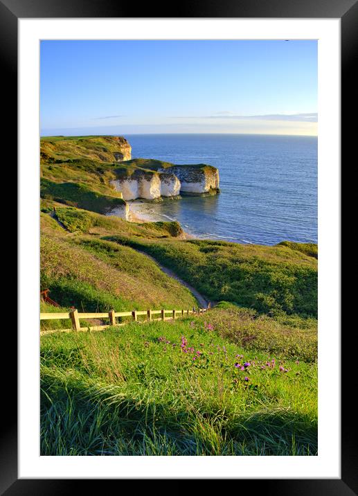 Selwicks Bay Flamborough East Yorkshire Framed Mounted Print by Steve Smith