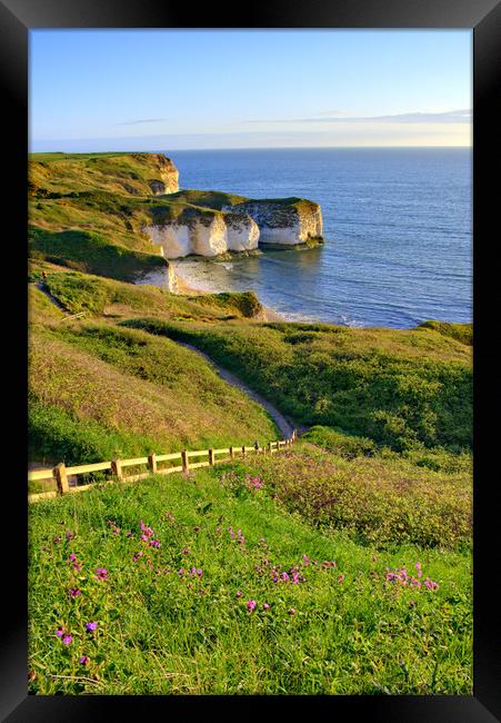 Selwicks Bay Flamborough East Yorkshire Framed Print by Steve Smith