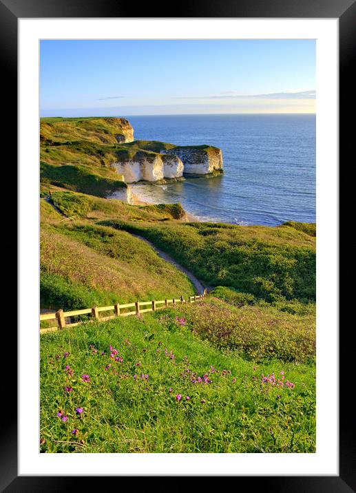 Selwicks Bay Flamborough East Yorkshire Framed Mounted Print by Steve Smith