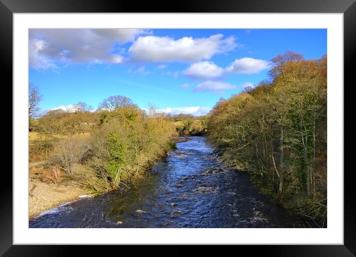 Majestic River Swale Flowing Through Easby Framed Mounted Print by Steve Smith
