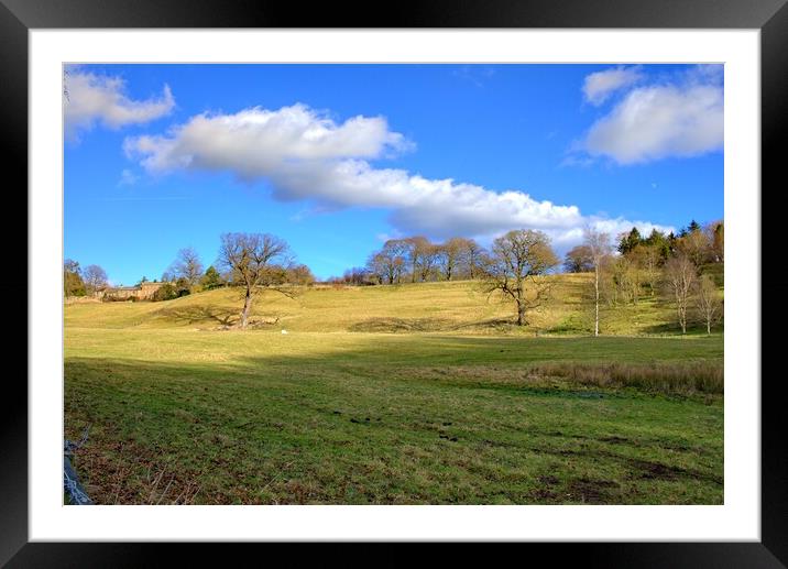 Easby Countryside Framed Mounted Print by Steve Smith