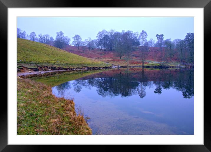 Serenity of Tarn Hows Framed Mounted Print by Steve Smith