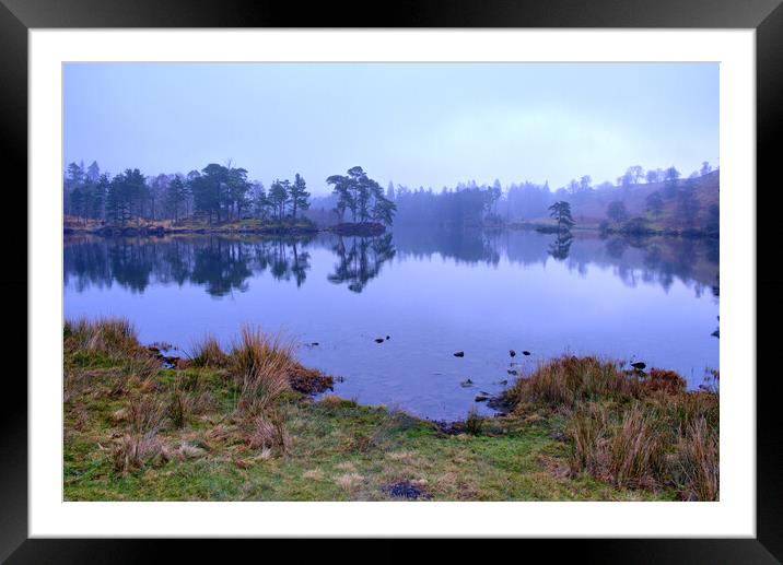 Tarn Hows Lake District Framed Mounted Print by Steve Smith