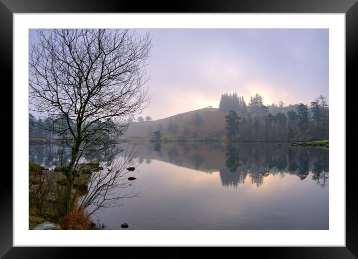 Tarn Hows Lake District Framed Mounted Print by Steve Smith