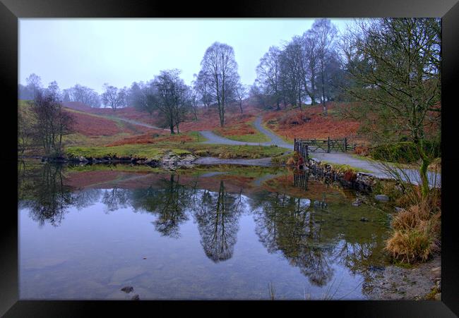 Tarn Hows Lake District Framed Print by Steve Smith