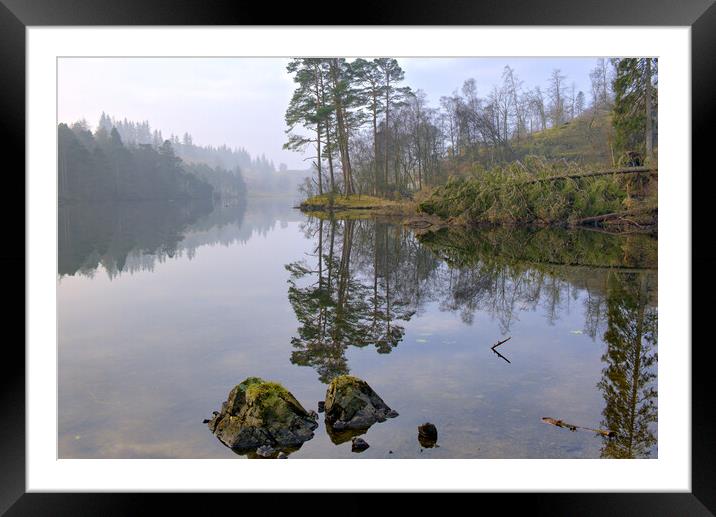 Tarn Hows Lake District Framed Mounted Print by Steve Smith