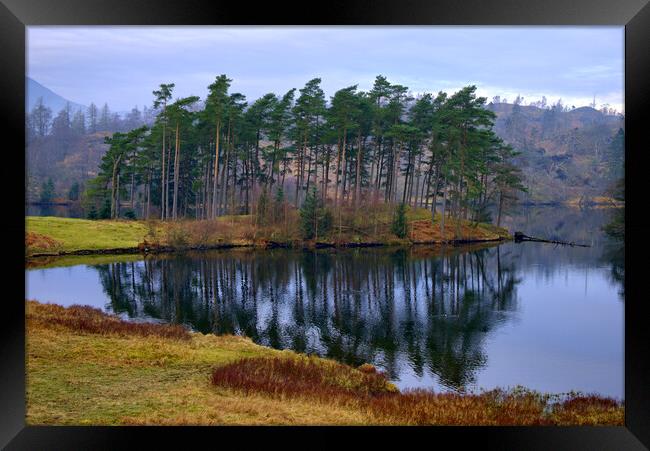 Tarn Hows Lake District Framed Print by Steve Smith