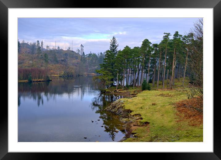 Tarn Hows Lake District Framed Mounted Print by Steve Smith