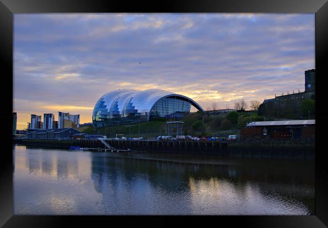 The Majestic Sage Framed Print by Steve Smith