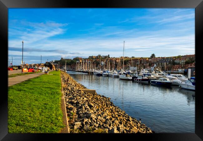 Whitby Yachting Framed Print by Steve Smith