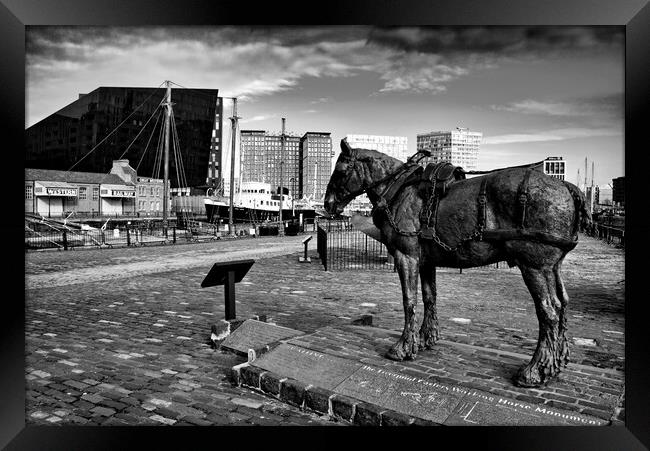 Tribute to Liverpools Working Horses Framed Print by Steve Smith