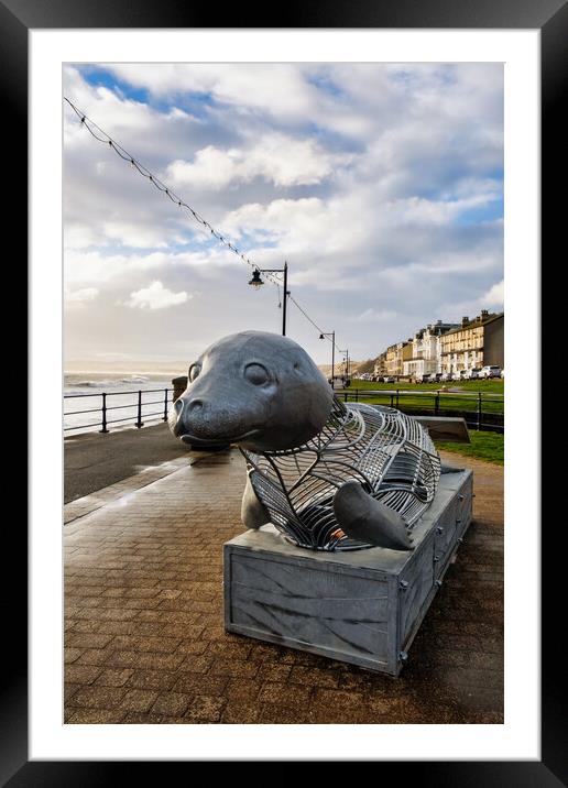The Filey Seal Framed Mounted Print by Steve Smith