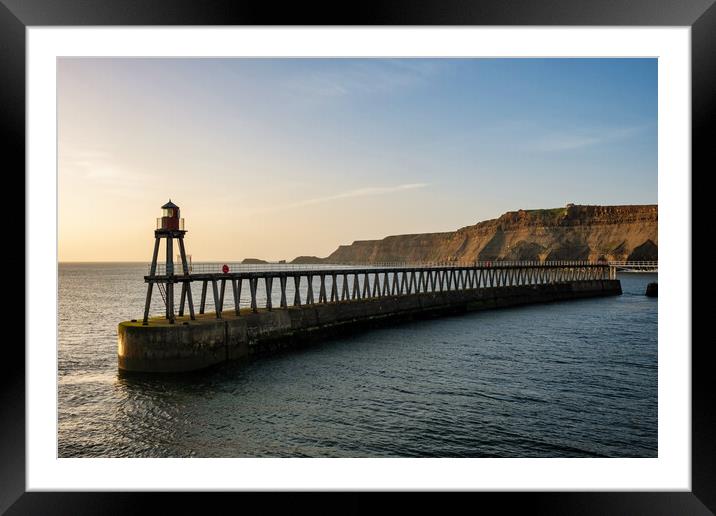 Whitby North Yorkshire Framed Mounted Print by Steve Smith