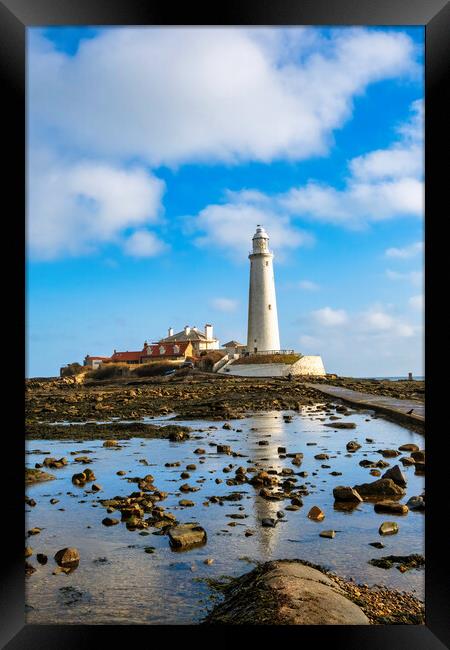 St Marys Lighthouse Framed Print by Steve Smith