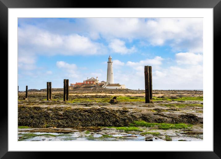 St Marys Lighthouse Framed Mounted Print by Steve Smith