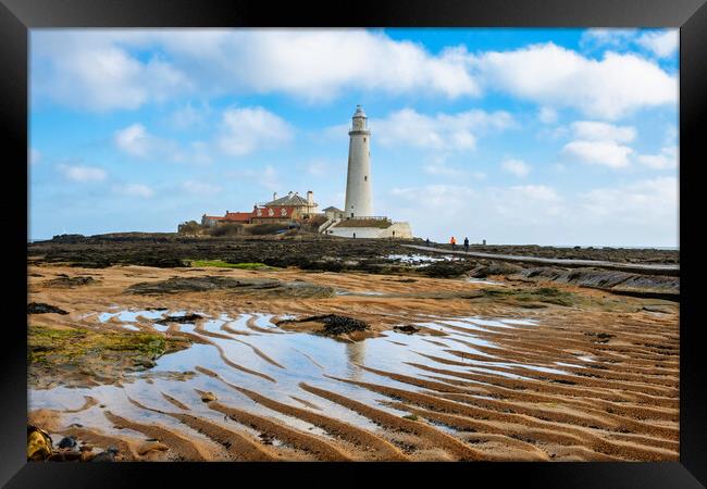 St Marys Lighthouse Framed Print by Steve Smith