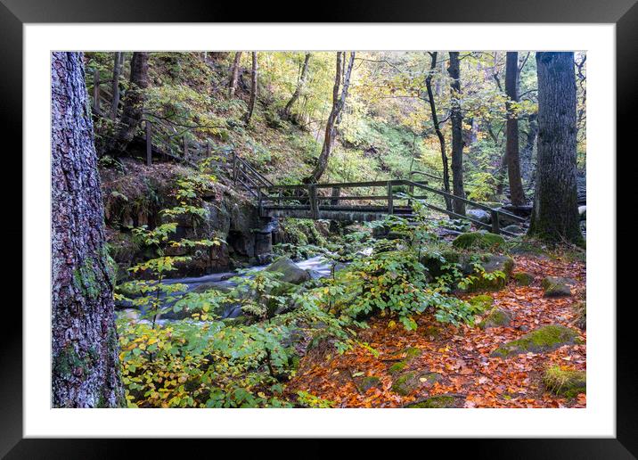 Enchanting Padley Gorge in Derbyshire Framed Mounted Print by Steve Smith
