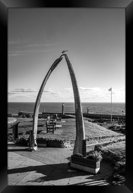 The Whitby Whalebones Framed Print by Steve Smith