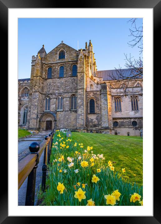 Ripon Cathedral Framed Mounted Print by Steve Smith
