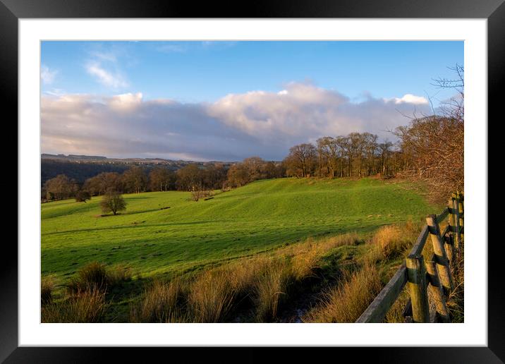 Richmond Views Framed Mounted Print by Steve Smith