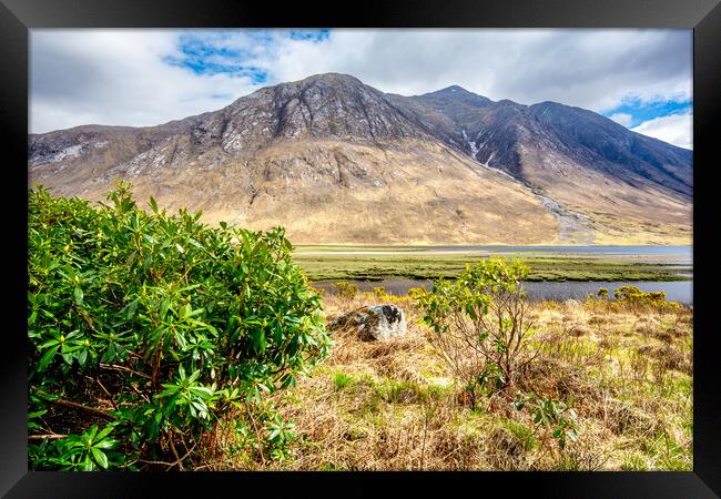 Nature's Serenity at Loch Etive Framed Print by Steve Smith
