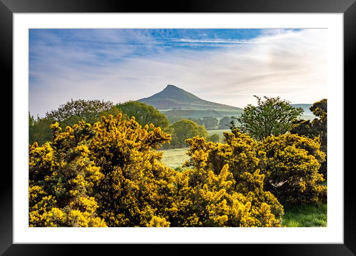Capturing the Beauty of Roseberry Framed Mounted Print by Steve Smith