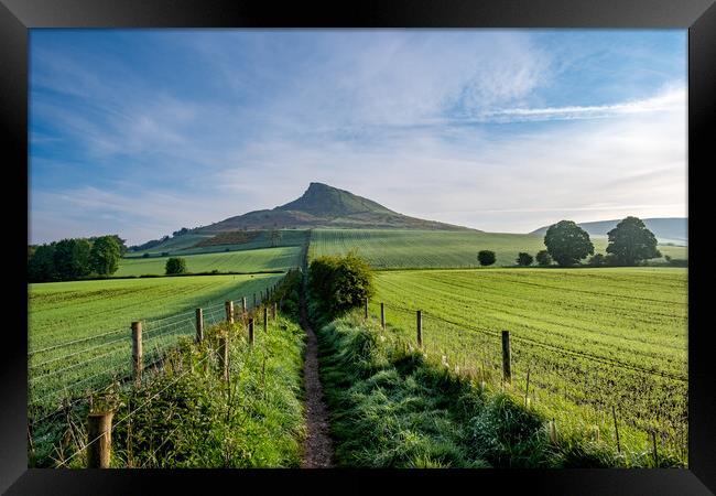 Discovering Roseberry's Natural Wonders Framed Print by Steve Smith