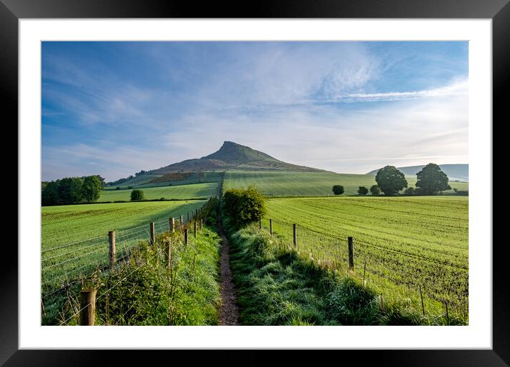 Discovering Roseberry's Natural Wonders Framed Mounted Print by Steve Smith