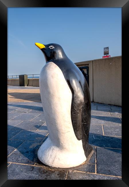 Adorable Redcar Penguin Framed Print by Steve Smith
