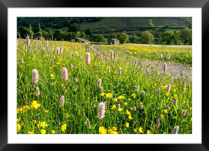 Wild Meadows At Muker Swaledale Framed Mounted Print by Steve Smith