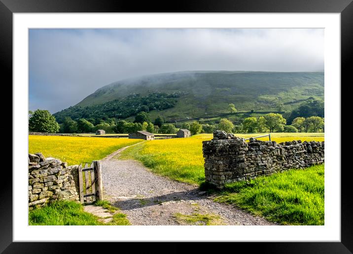 Buttercup Heaven At Muker Framed Mounted Print by Steve Smith