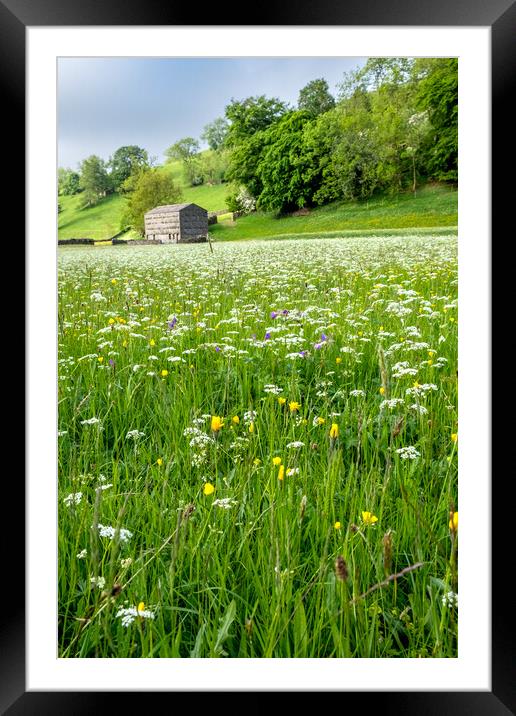Wild Flowers At Muker Framed Mounted Print by Steve Smith