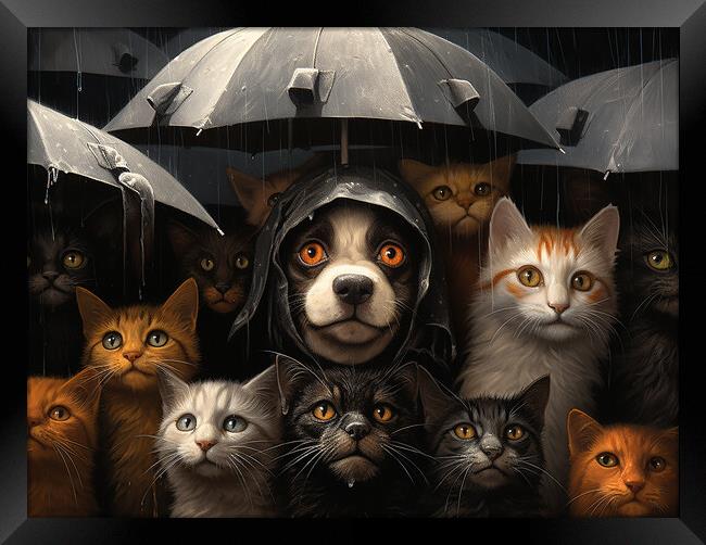 Raining Cats And Dogs Framed Print by Steve Smith