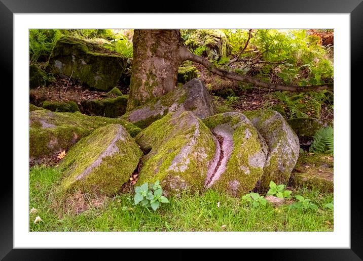 Bole Hill Quarry Hathersage Framed Mounted Print by Steve Smith