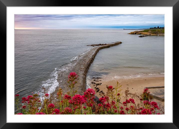 Cullercoats Breakwater Framed Mounted Print by Steve Smith