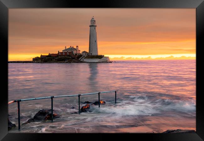 St Marys Lighthouse Sunrise Framed Print by Steve Smith