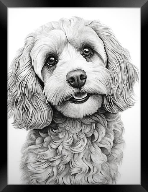 Pencil Drawing Cavapoo Framed Print by Steve Smith